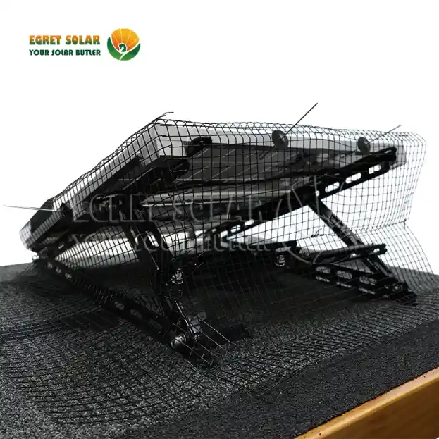 Hvorfor solenergi fuglenett er den viktigste forsvarslinjen?